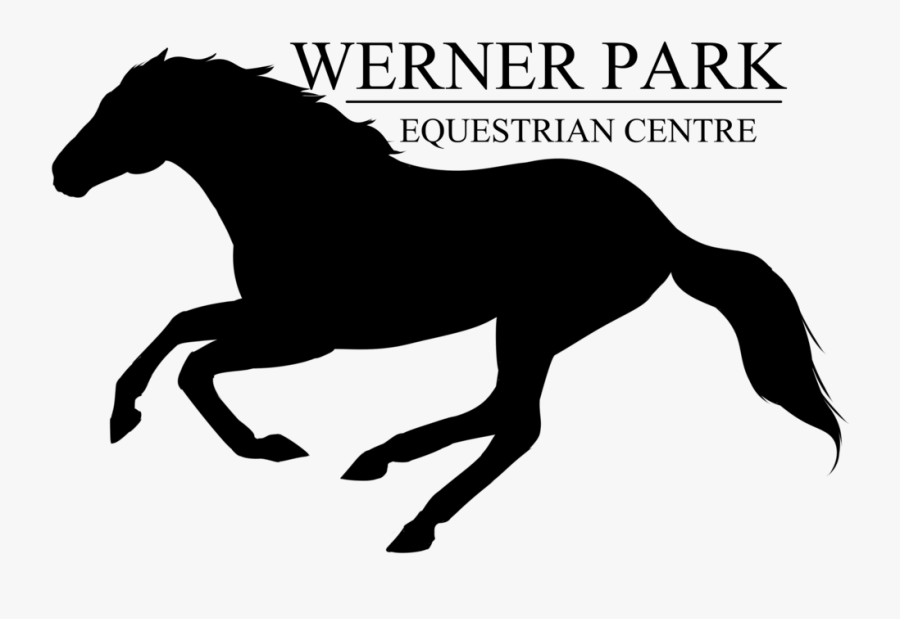 Vector Horses Horse Stable - Stallion, Transparent Clipart