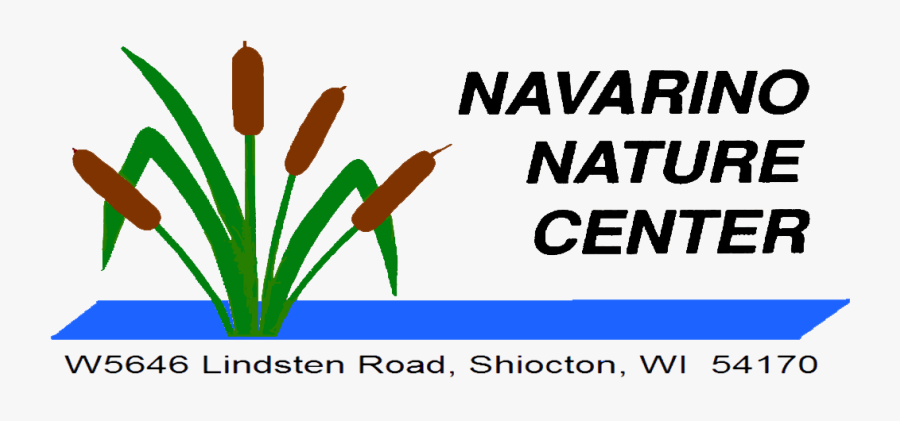 Expo Center Norte, Transparent Clipart