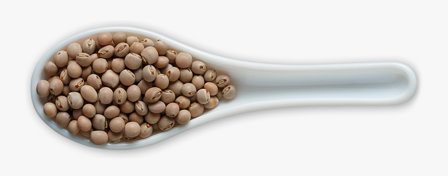 Transparent Peas Png - Bead, Transparent Clipart