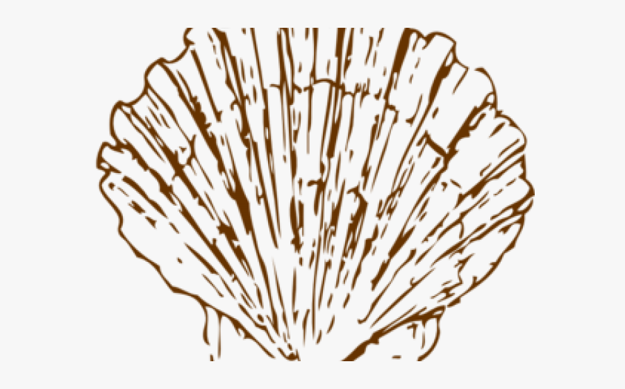 Seashell Clipart Transparent Background, Transparent Clipart