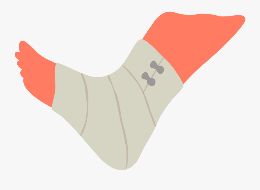 Picture Freeuse Stock Basics Anatomy And Physiology - Illustration, Transparent Clipart