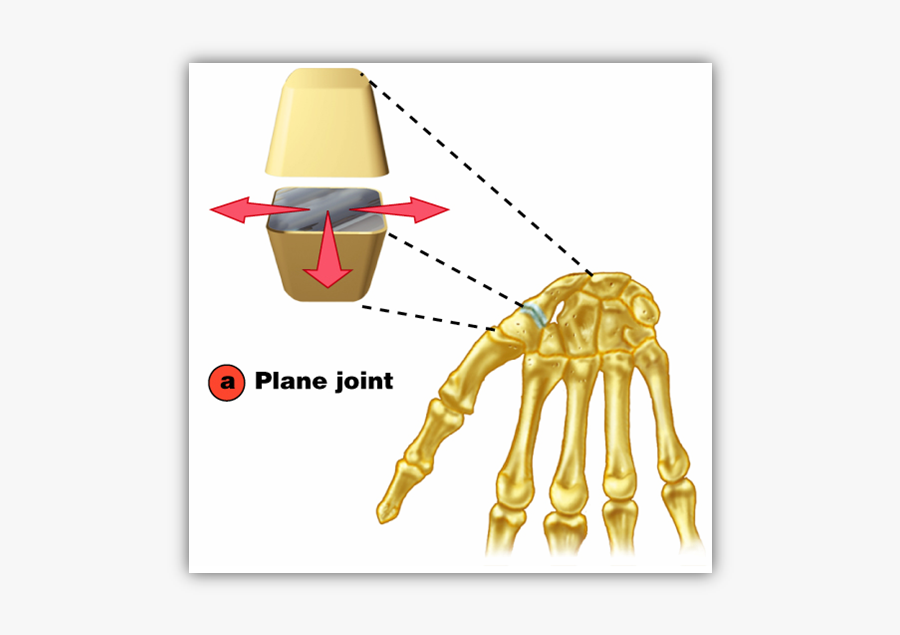 Card Image - Saddle Joint, Transparent Clipart