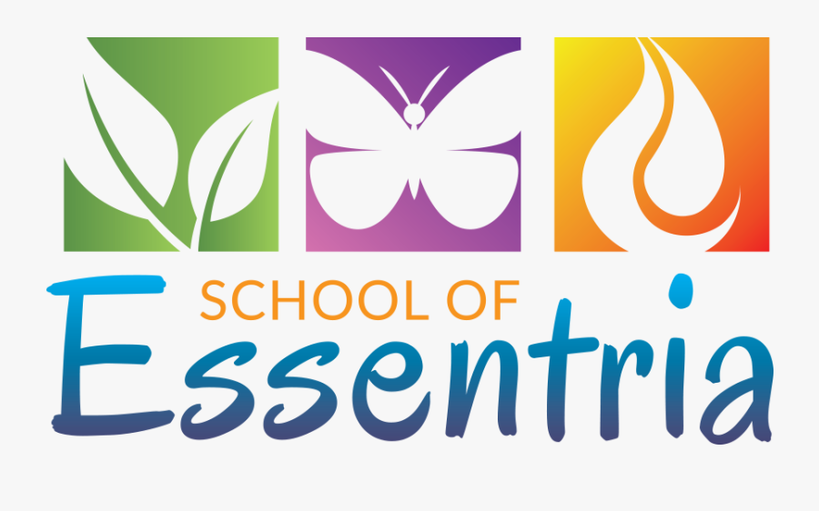 School Of Essentria, Transparent Clipart