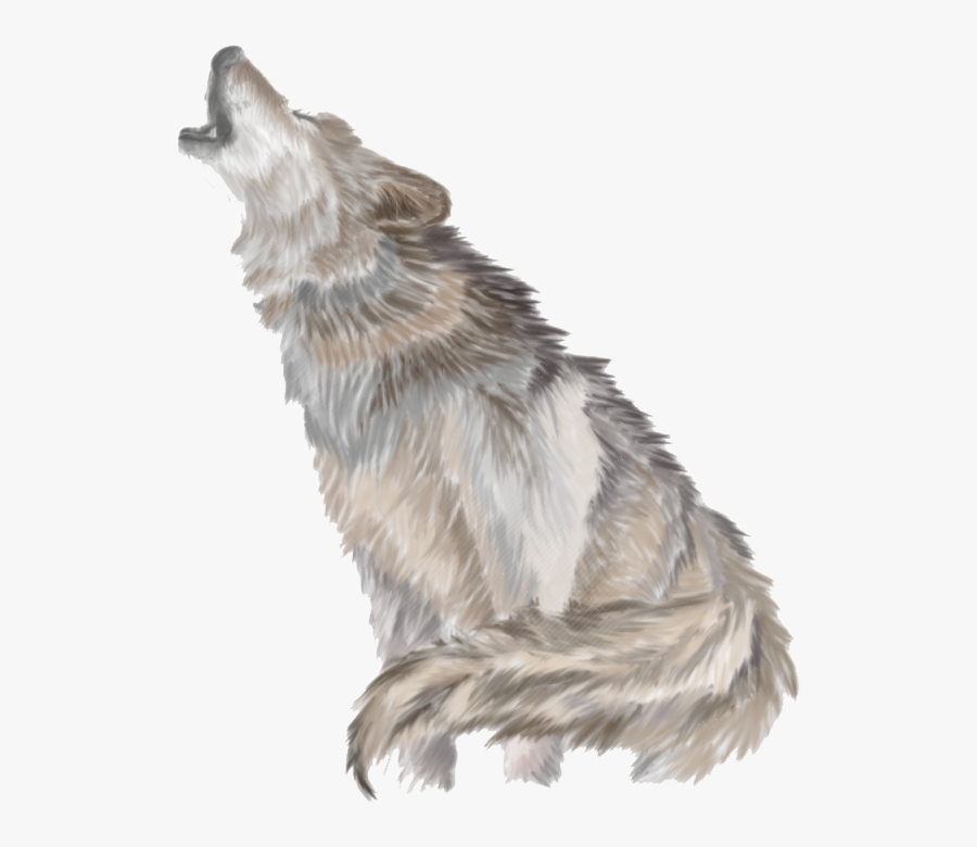 Wolves Clipart Gray Wolf - Wolf Png, Transparent Clipart