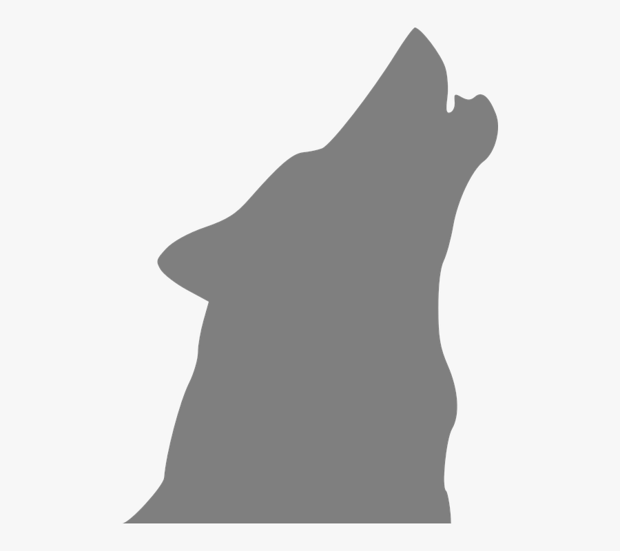 Wolf, Howling, Dog, Canine, Gray - Grey Wolf Howling Silhouette, Transparent Clipart