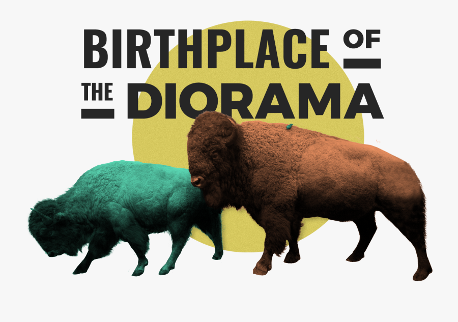 Falta De Noção, Transparent Clipart