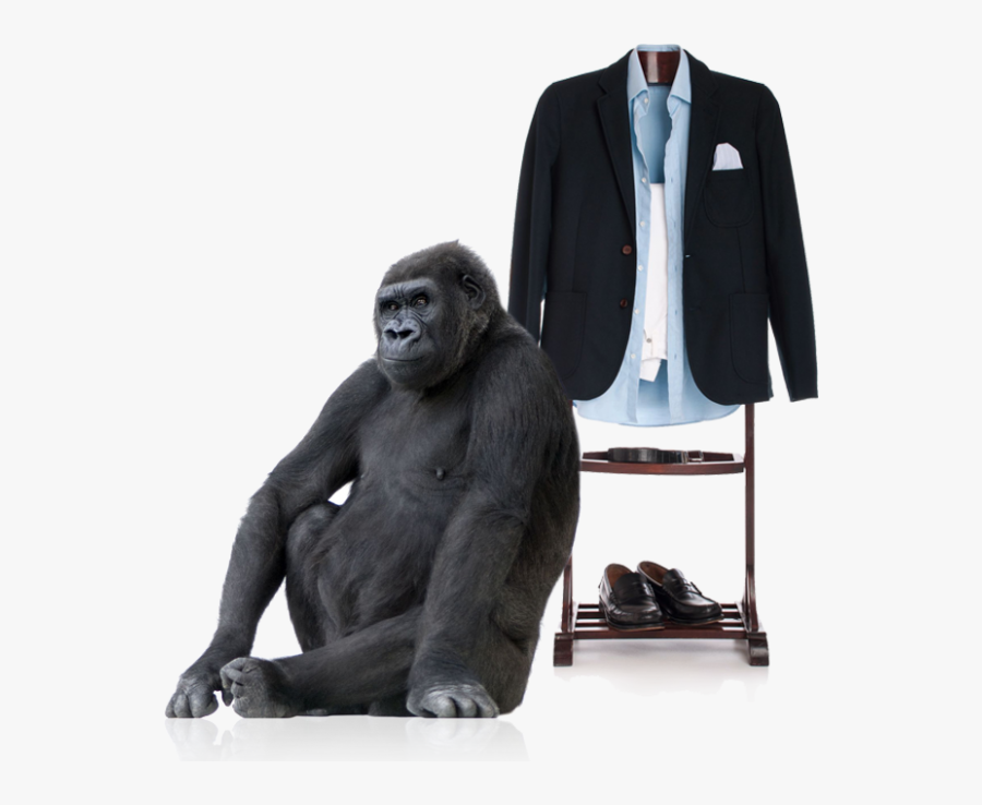 Download Gorilla Png Transparent Images Transparent - Gorilla Sitting Down Png, Transparent Clipart