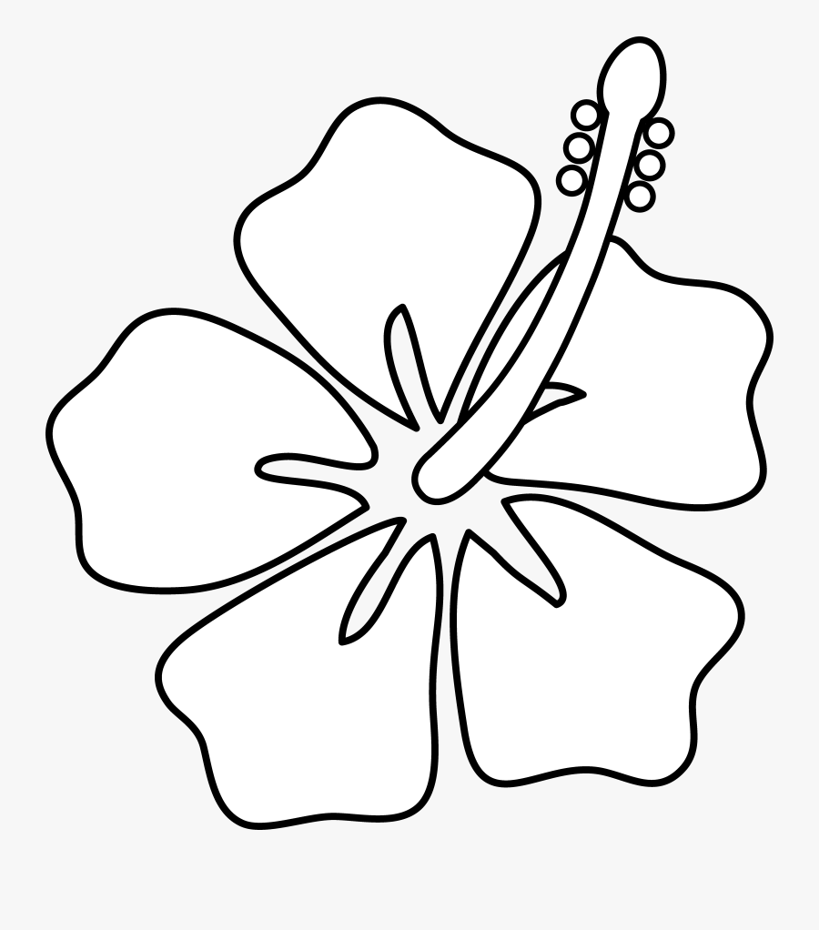 Hibiscus Flower Cartoon - Tropical Flowers Clipart Black And White, Transparent Clipart