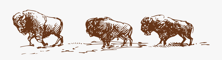 Pioneer Clipart Ox Wagon - Illustration, Transparent Clipart