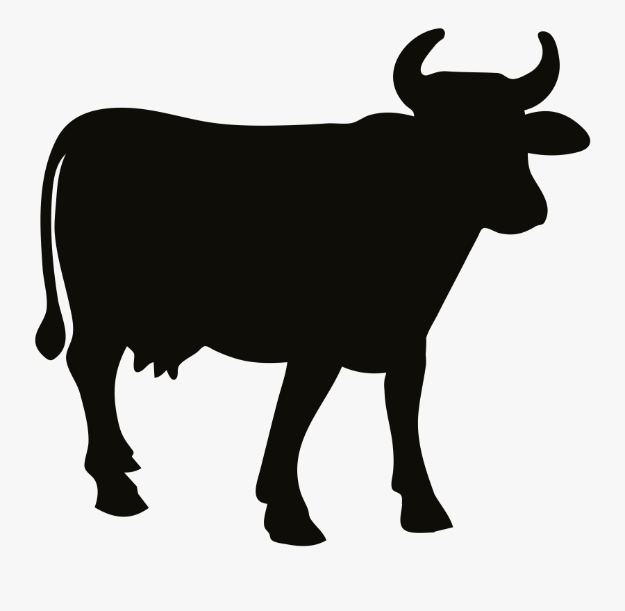 Transparent Ox Clipart Black And White - Angus Beef Cartoon, Transparent Clipart