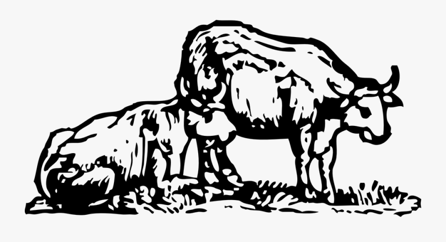 Ox, Bull, Farm, Animals, Grazing, Cattle, Buffalo - Oxen Grey Clipart, Transparent Clipart