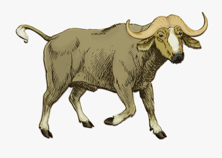 Wolfish Moons Kittysol - Ox, Transparent Clipart