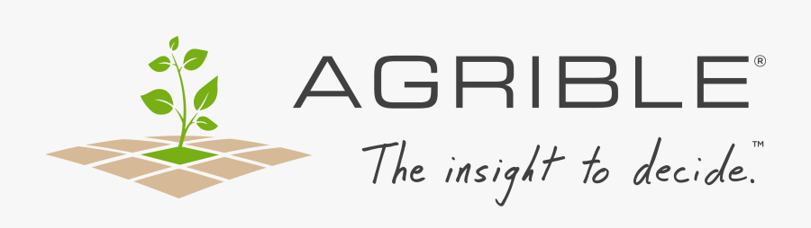 Calligraphy, Transparent Clipart