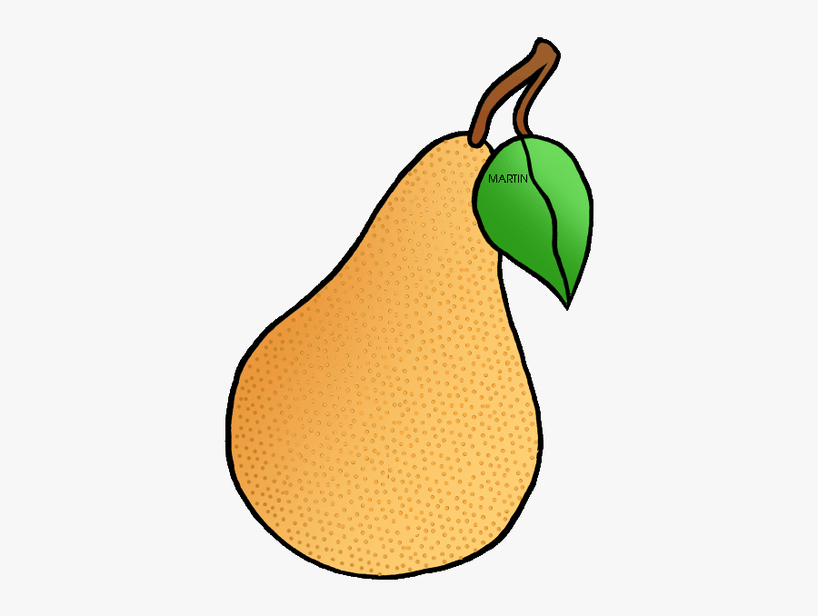Clipart Fruit Pear - Oregon Pear, Transparent Clipart