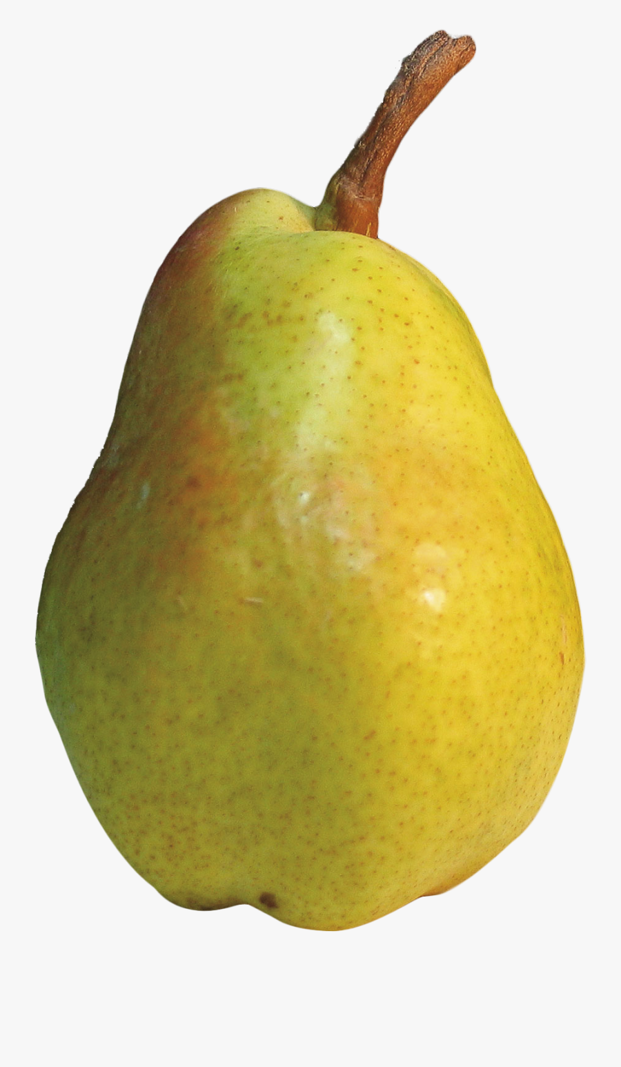 Asian Pear Png - Pear Png, Transparent Clipart
