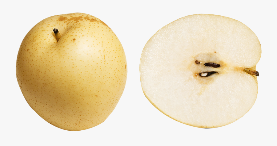 Asian Pear Slice Png Image - Pear Korea Png, Transparent Clipart