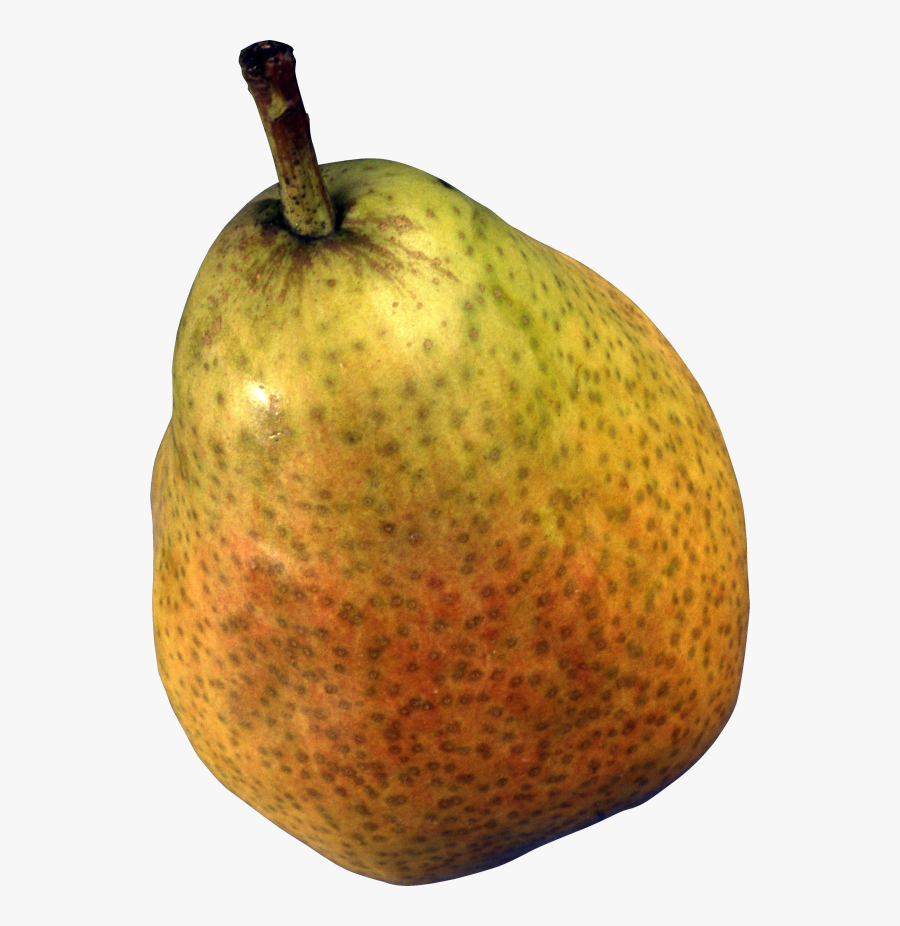 Portable Network Graphics Vector Graphics Pear Clip - Pear, Transparent Clipart