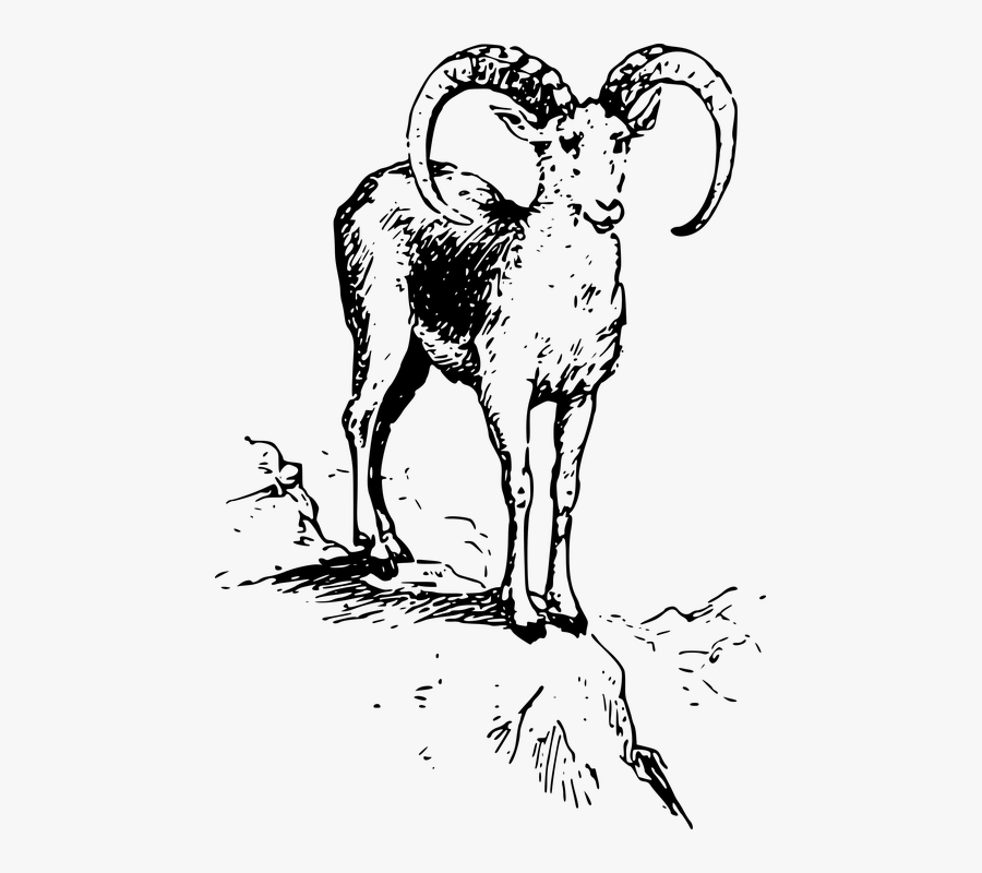 Animal, Game Asset Call, Mammal, Sheep, Wild - Asset Animal, Transparent Clipart