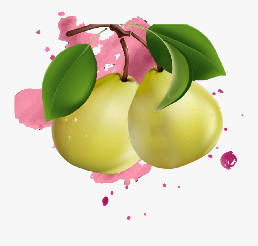 #mq #pink #paint #splash #pear #pears #fruit - Illustration, Transparent Clipart