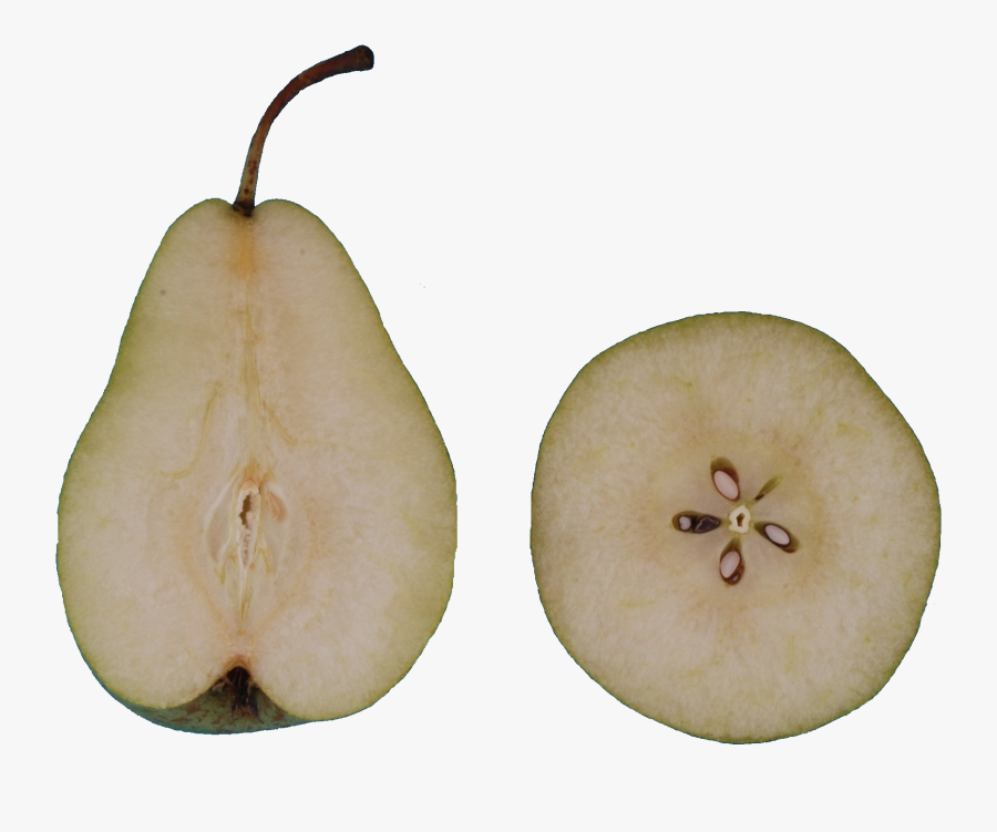 Flesh Asian Pear- - Asian Pear, Transparent Clipart