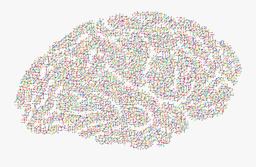 Area,text,tree - Epilepsy Research, Transparent Clipart