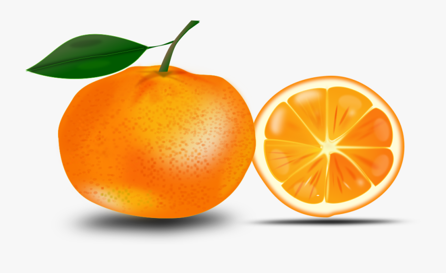 Slice Of An Orange - Orange Clipart, Transparent Clipart