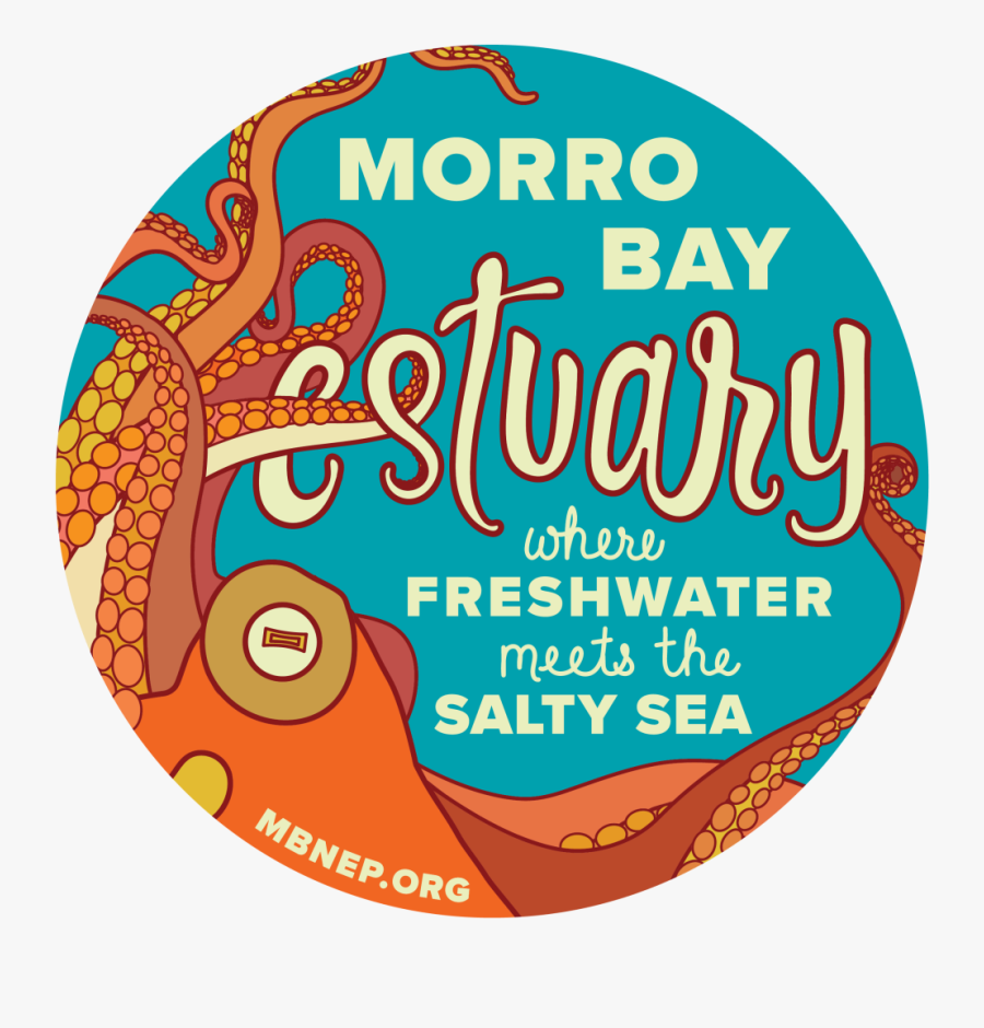 Circle, Transparent Clipart