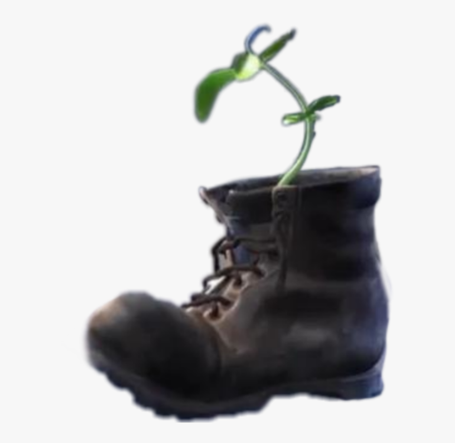 Transparent Walle Png - Wall E Shoe Plant, Transparent Clipart