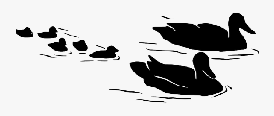 Water, Silhouette, Kids, Mom, Birds, Flying, Swimming - Duck And Ducklings Silhouette, Transparent Clipart