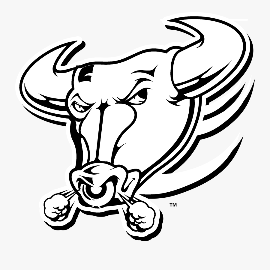 Buffalo Bulls, Transparent Clipart