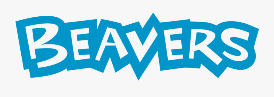 Beavers, Transparent Clipart