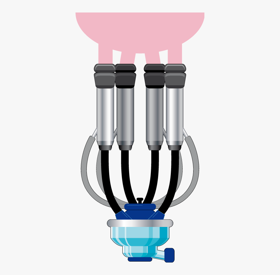 Milking Equipment And Its Relation To Mastitis - Illustration, Transparent Clipart
