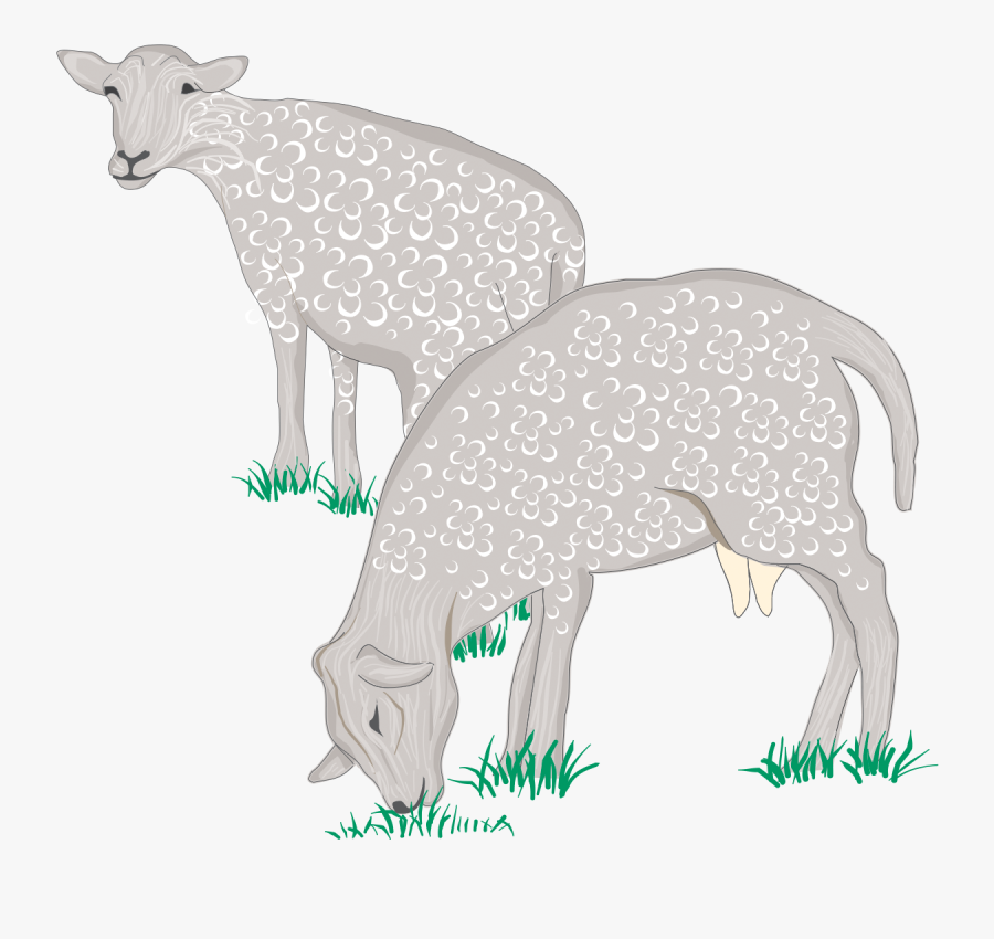 Draw Milk Yielding Animals, Transparent Clipart