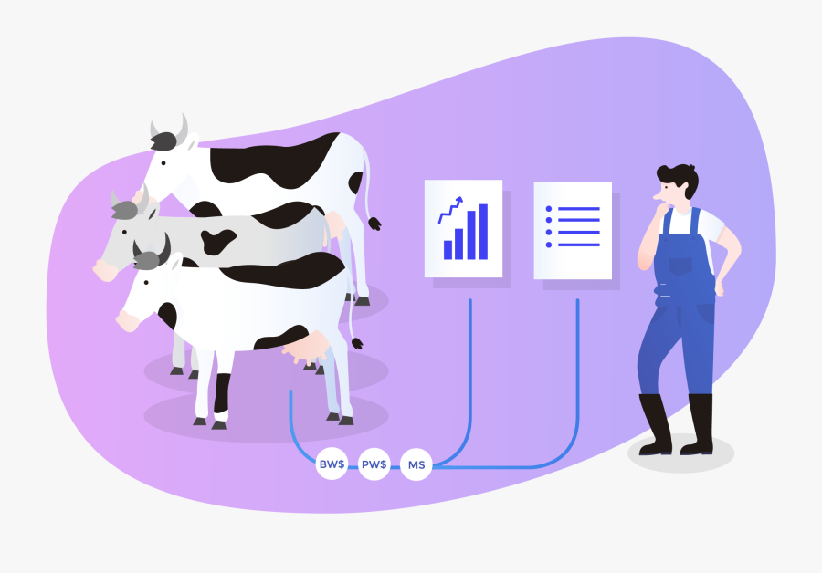 Milking A Cow Clipart, Transparent Clipart