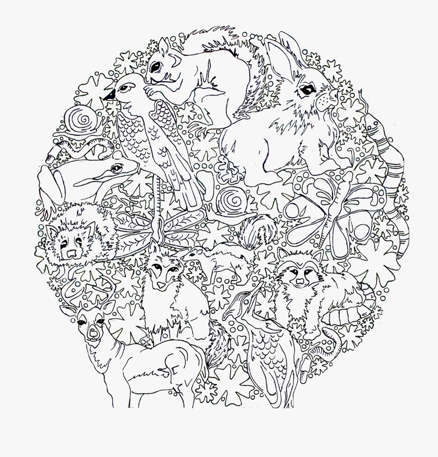 Woodland Creatures Drawing Page, Transparent Clipart