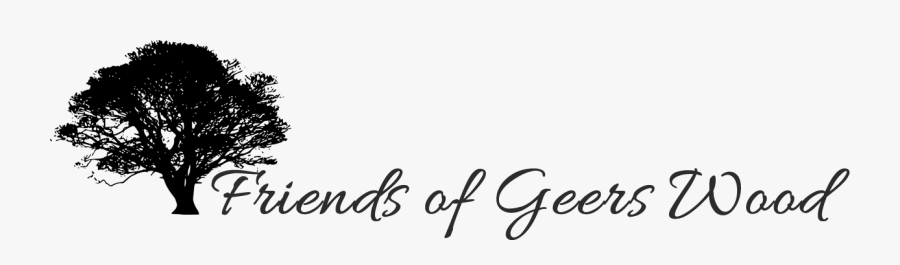 Calligraphy, Transparent Clipart