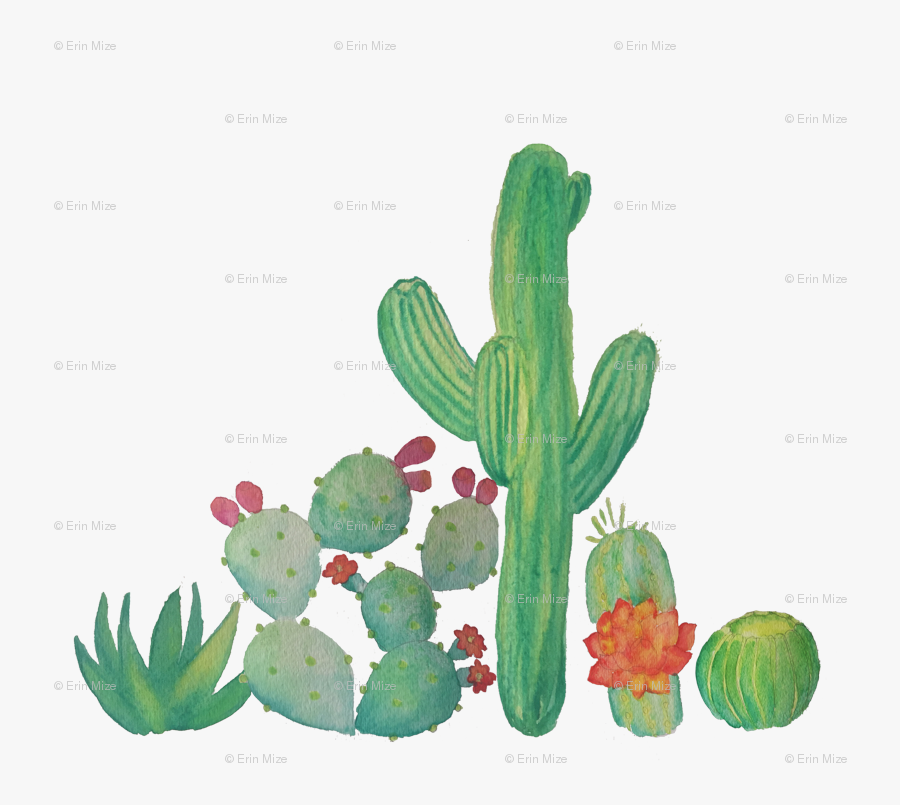 Watercolor Cactus Cactus Png Clipart, Transparent Clipart