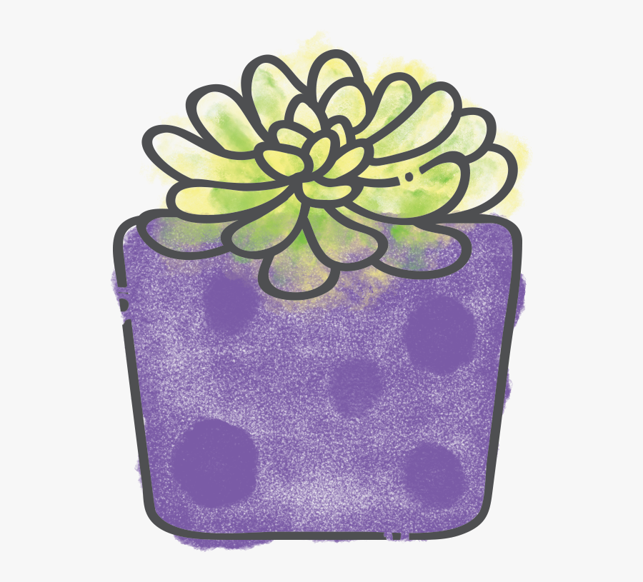 Aeonium Suncup - Lilac, Transparent Clipart