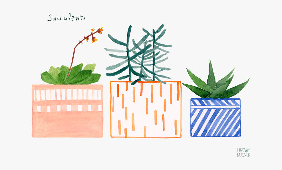 Neighborhood Clipart Watercolor - Aloe, Transparent Clipart