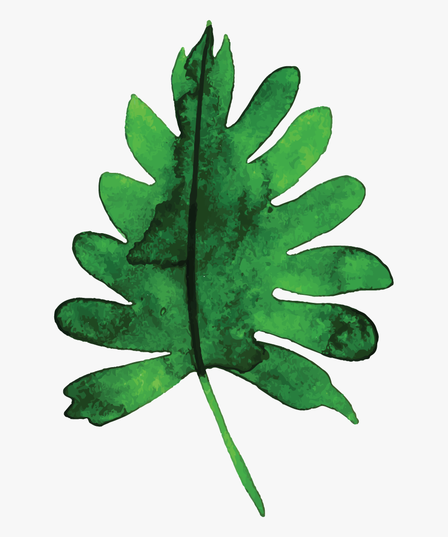 Post Oak, Transparent Clipart
