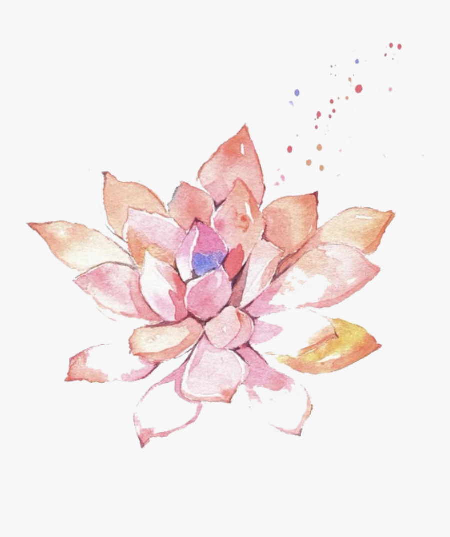 #ftestickers #watercolor #painting #flower #succulent - Succulent Watercolor Painting Pink, Transparent Clipart