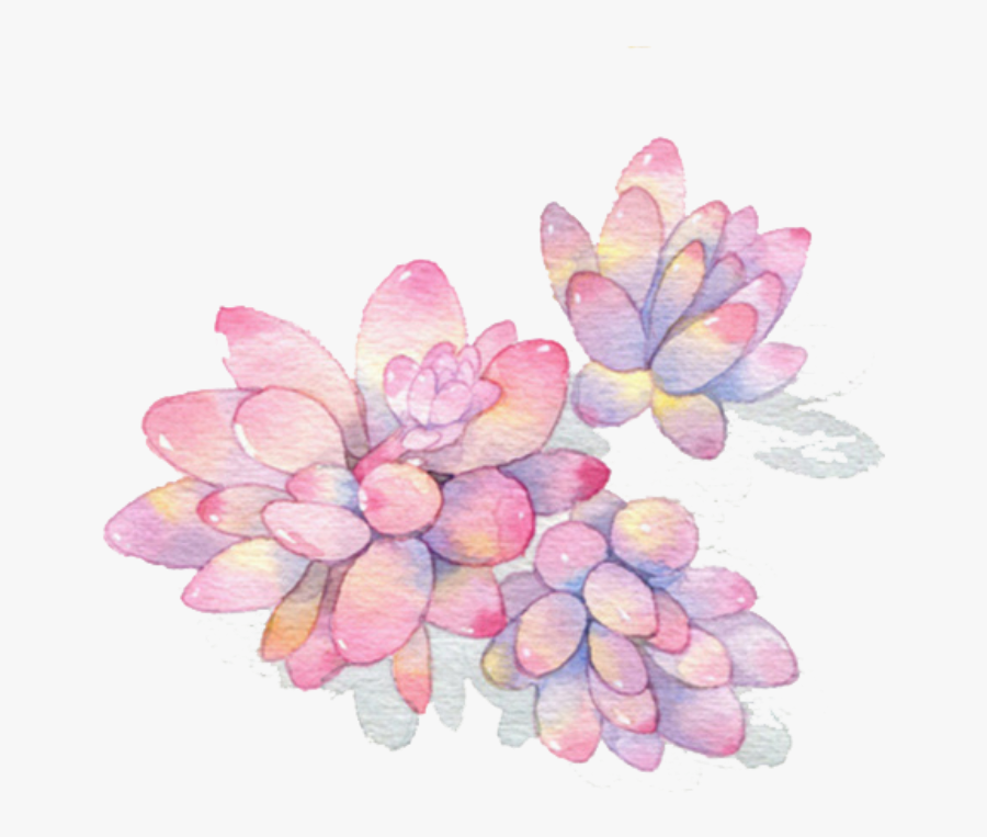 Transparent Watercolor Plants Png - Watercolor Succulent Png Flower, Transparent Clipart