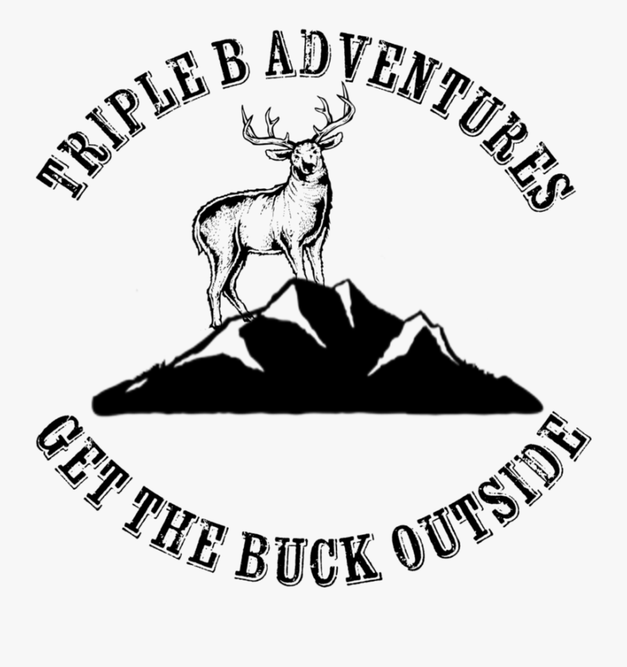 Liberty Drawing Veteran - Illustration, Transparent Clipart