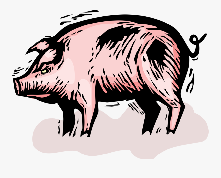 Vector Illustration Of Domesticated Pig In Farm Pigsty - Domestic Pig, Transparent Clipart