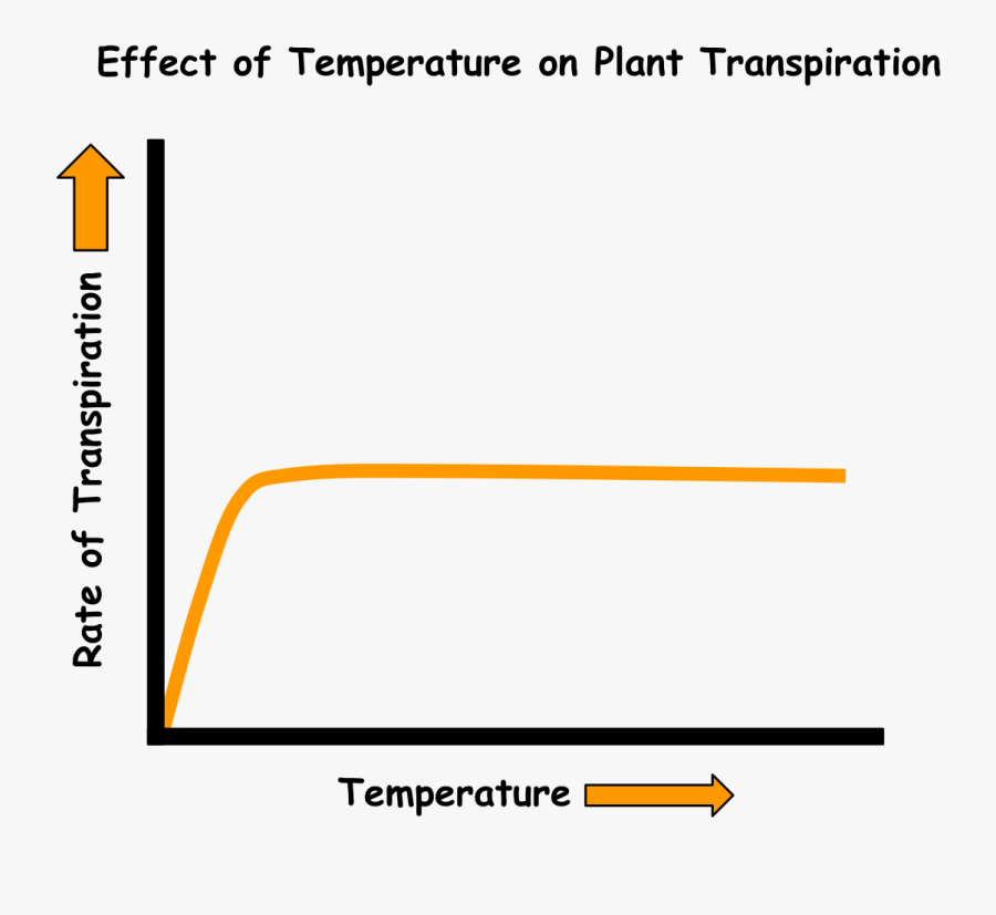 Rate Of Transpiration In Temperature Diagram, Transparent Clipart