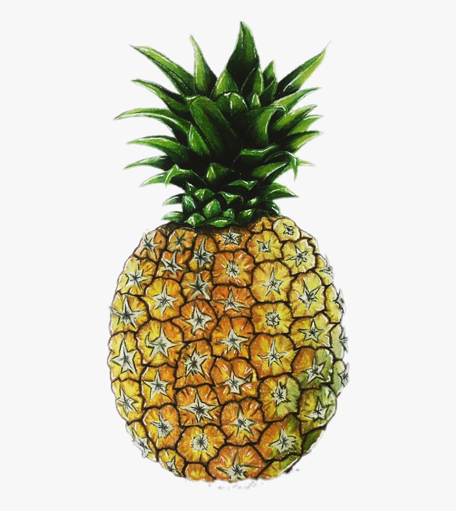 Pineapple, Transparent Clipart