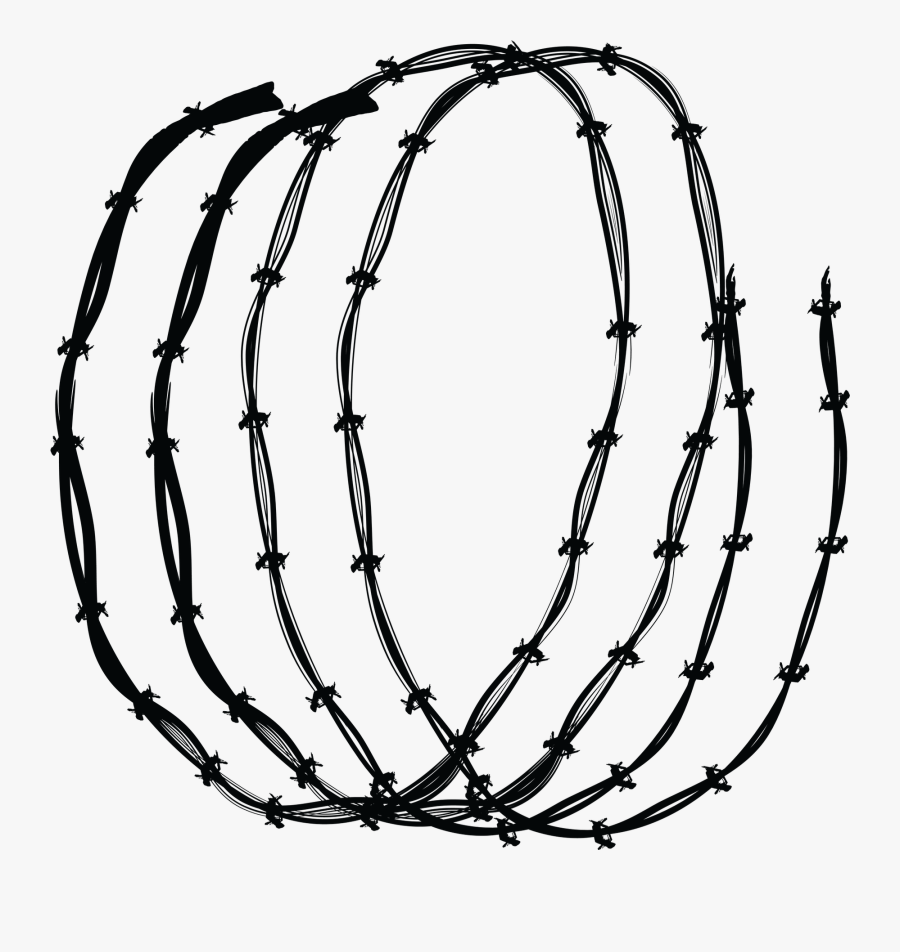 Circle, Transparent Clipart