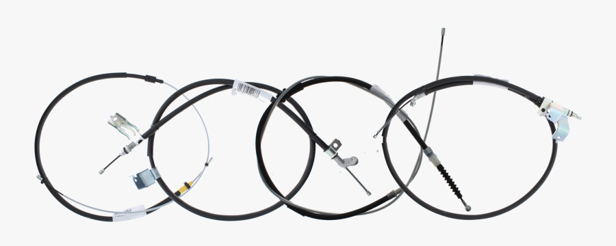 Circle, Transparent Clipart