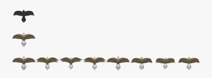 Transparent Barbed Wire Border Png - Top Down Bird Sprite Sheet, Transparent Clipart
