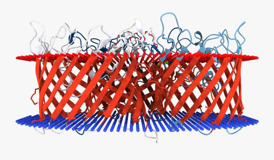 Clip Art, Transparent Clipart